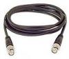 BNC - M - Coaxial 6ft Network cable 